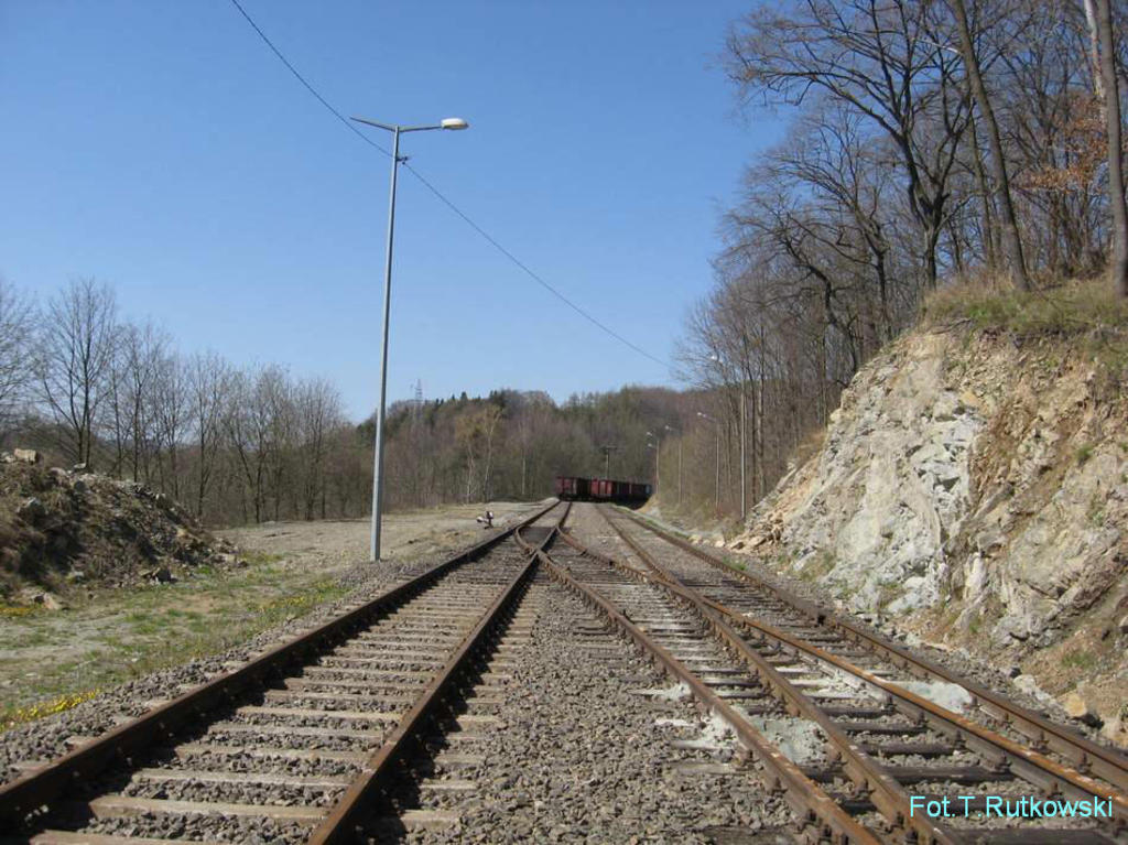 fot. Tadeusz Rutkowski
Odcinek bocznicy Kopalni Gabra "Słupiec",widok w kierunku Dzikowca. Obraz